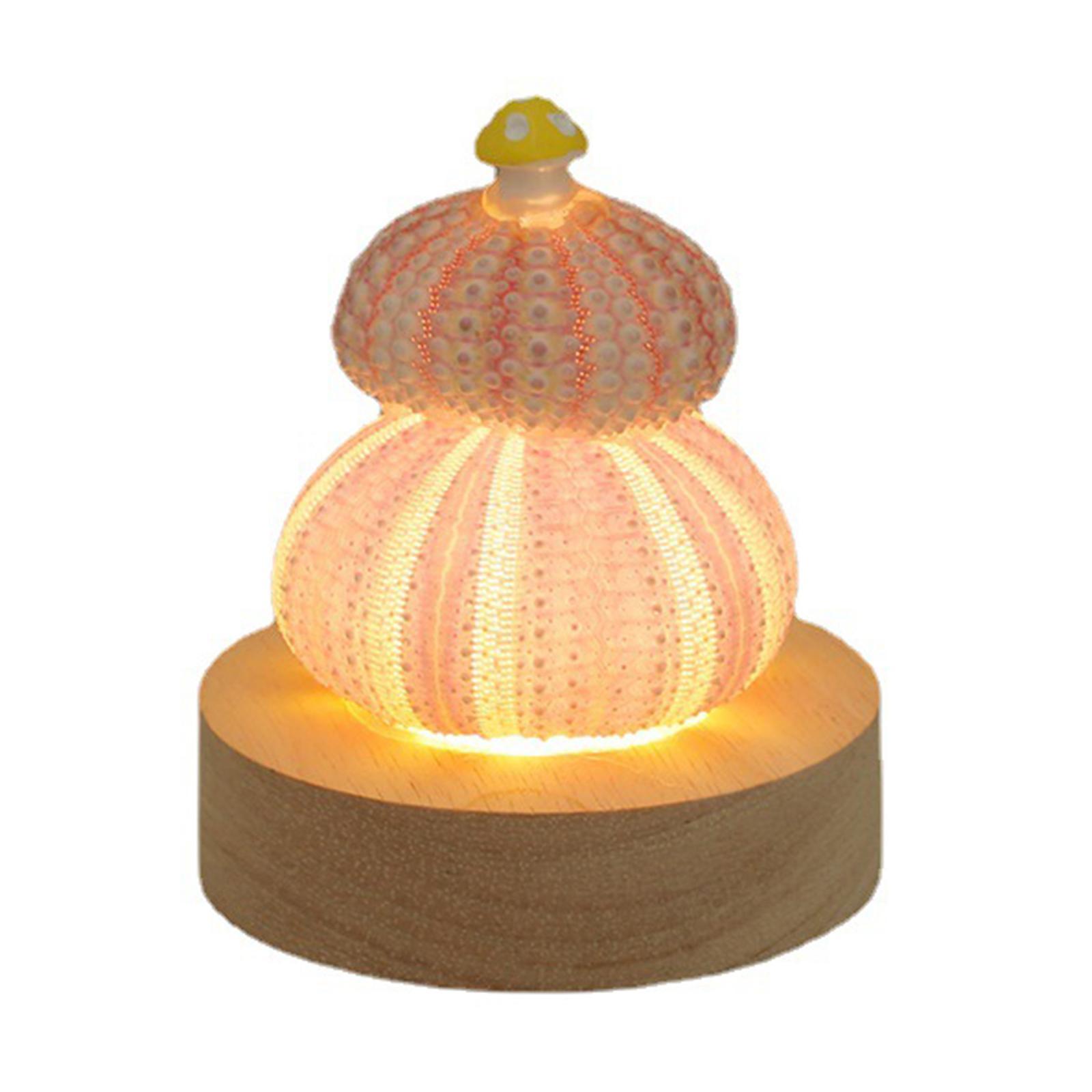 Decorative Table Lights Shell with LED Function Birthday Gift Mini Table Lamp
