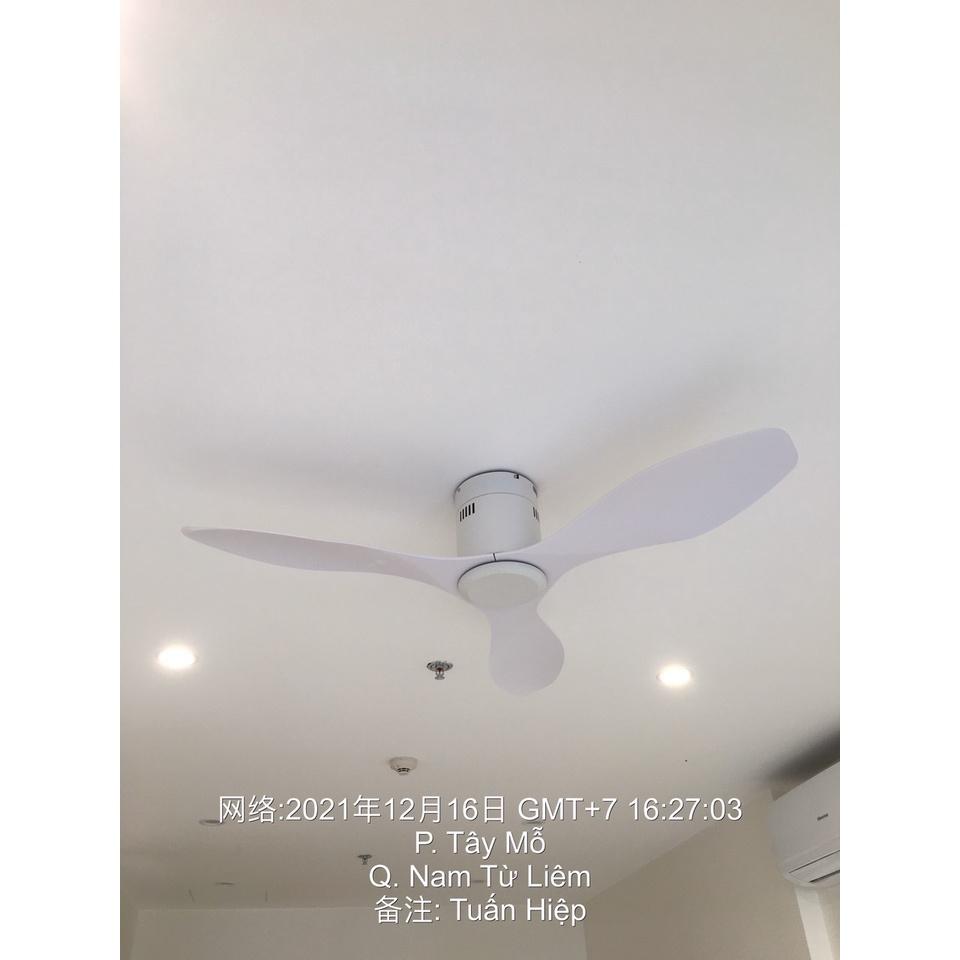 Quạt Trần 3 Cánh Cho Chung Cư Trần Thấp,Động Cơ DC 6 Tốc Độ,Thiết Kế Hiện Đại
