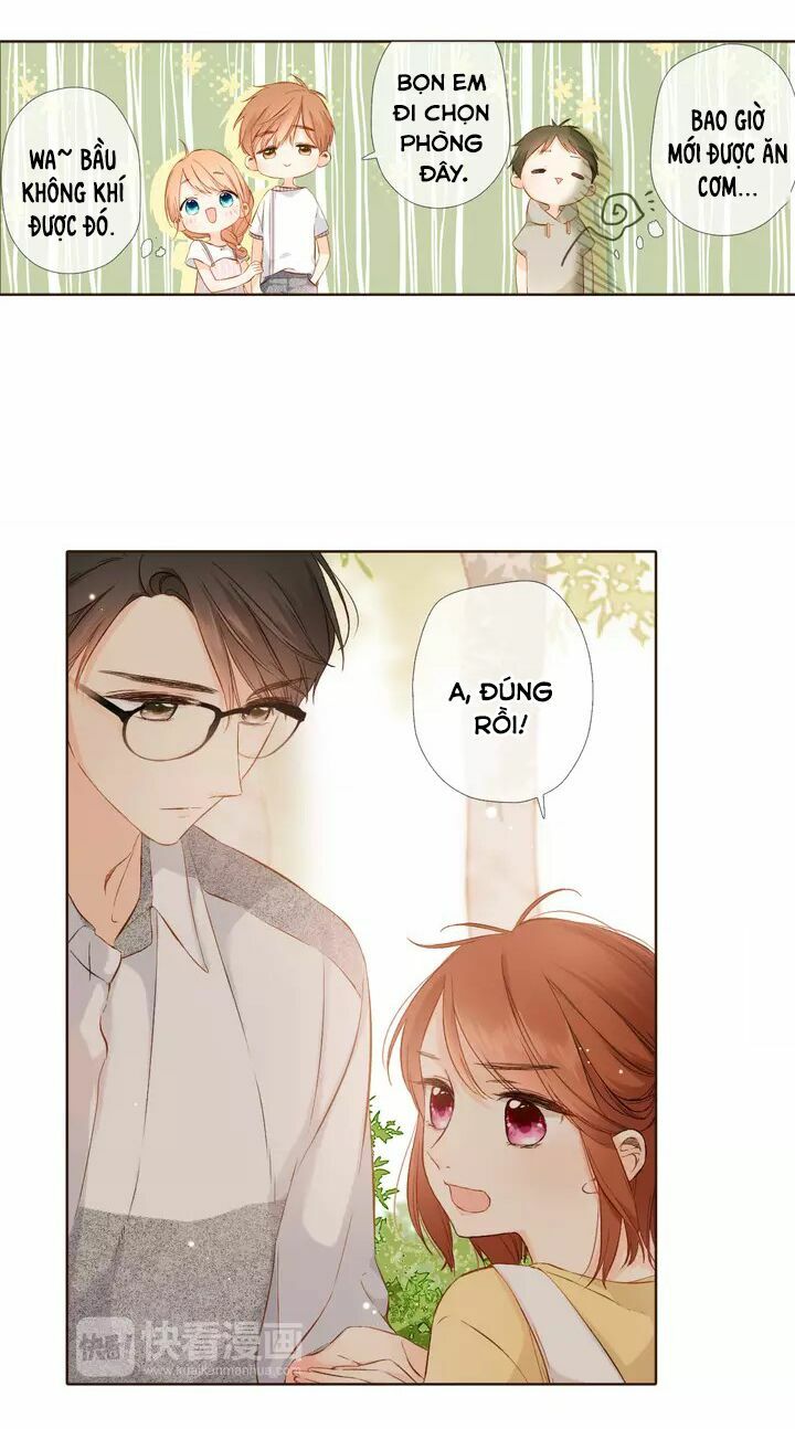 Tình yêu là màu hoa anh thảo chapter 35.2 25