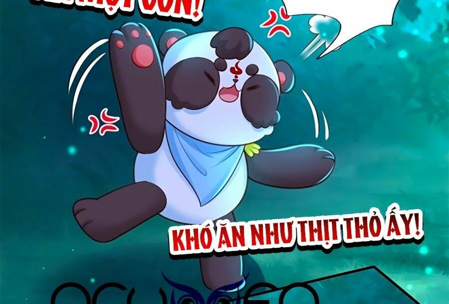 bỗng một ngày trở thành con gái nhà vua chapter 247 26