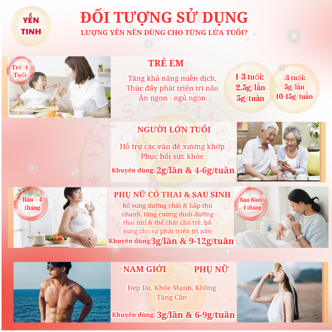 Tổ Yến Sào Tinh Chế 2 Lớp Sợi kèm quà tặng - Yến Sào BaNest
