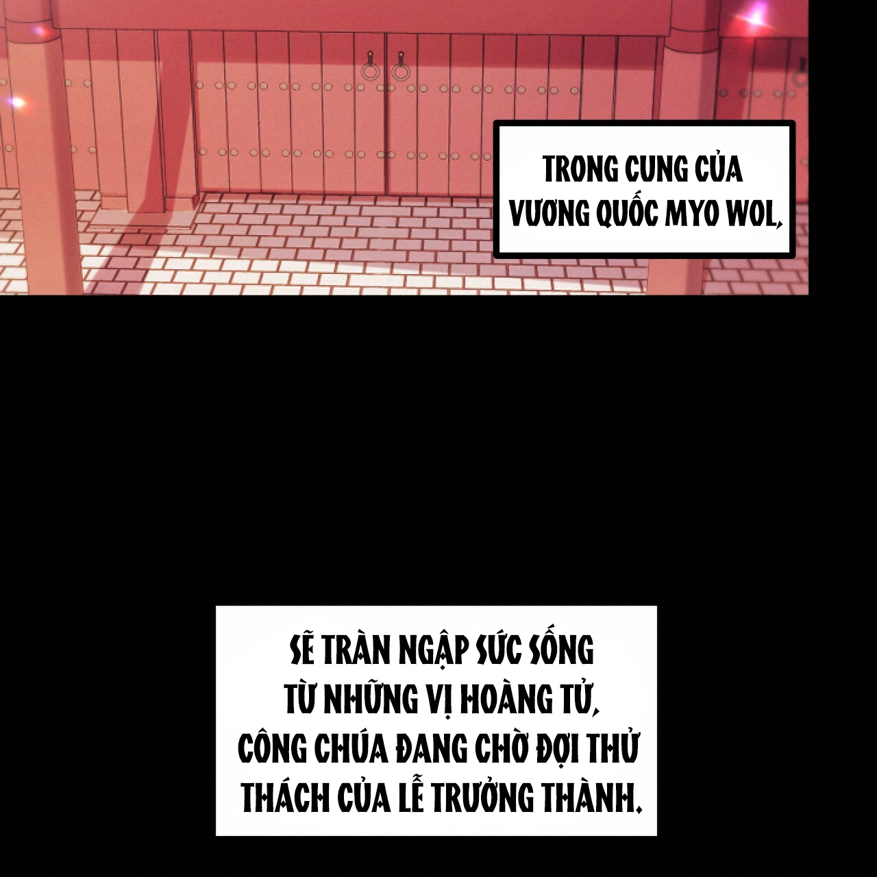 những chú thỏ của hapypy chapter 1 95