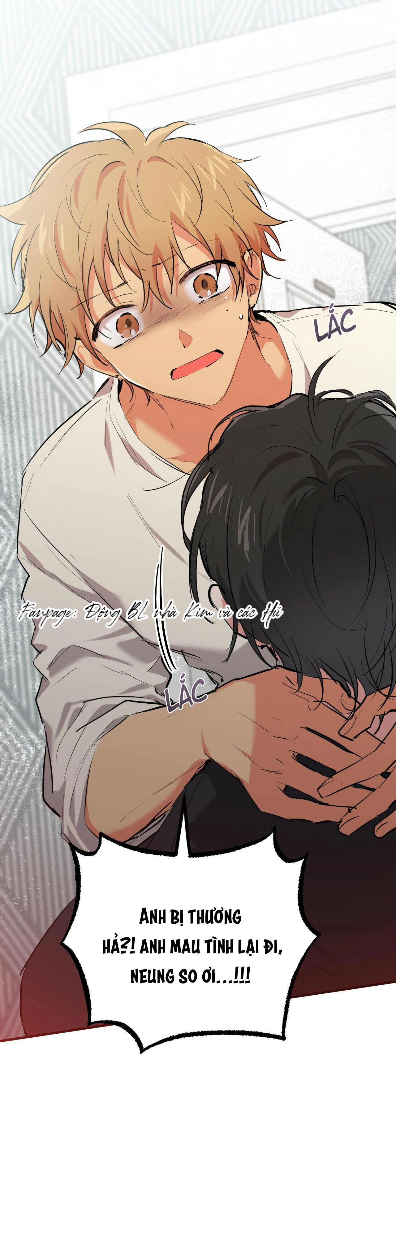 những chú thỏ của hapypy chapter 36 42