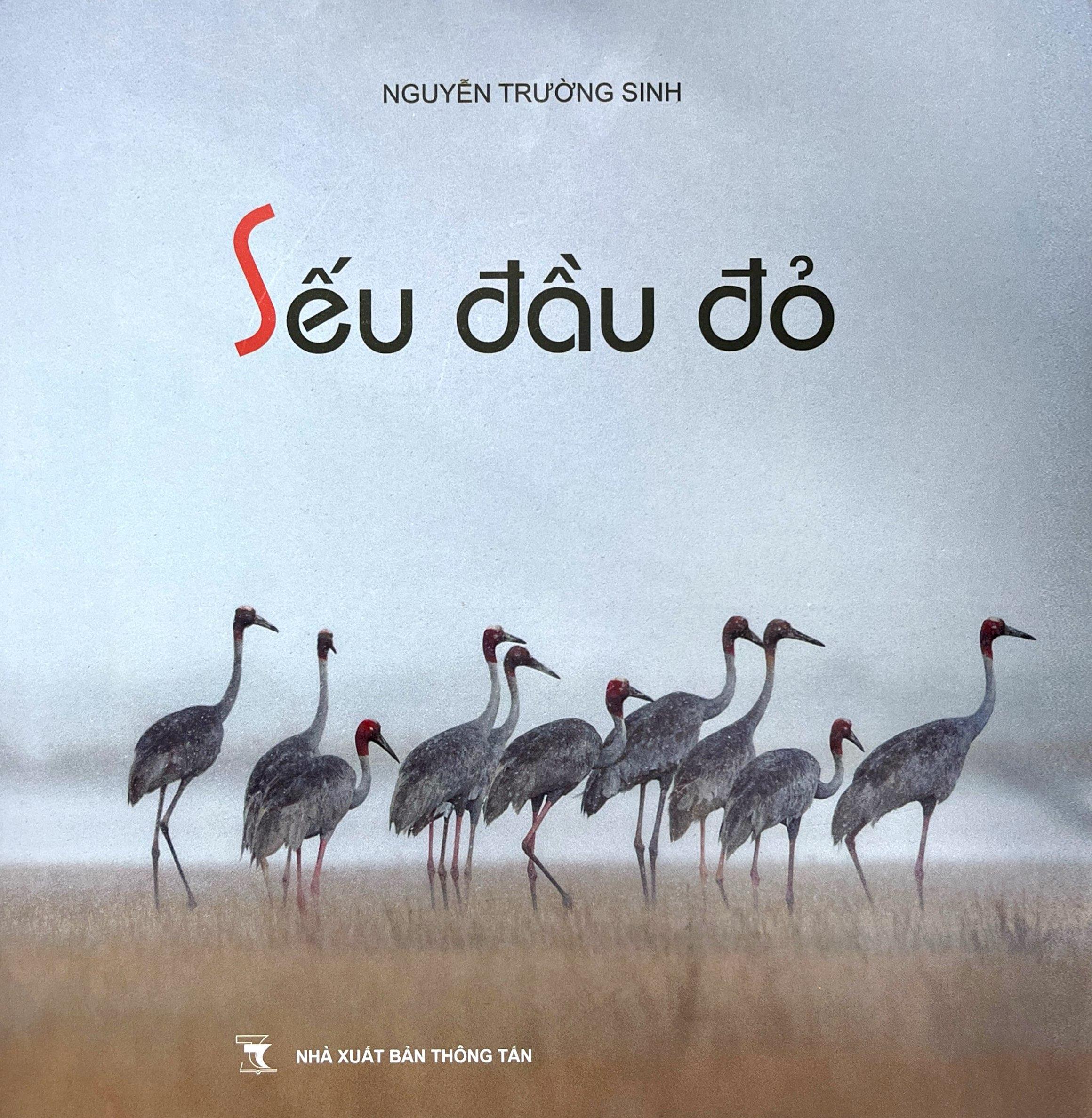 Sách - Sếu Đầu Đỏ - Bìa Cứng