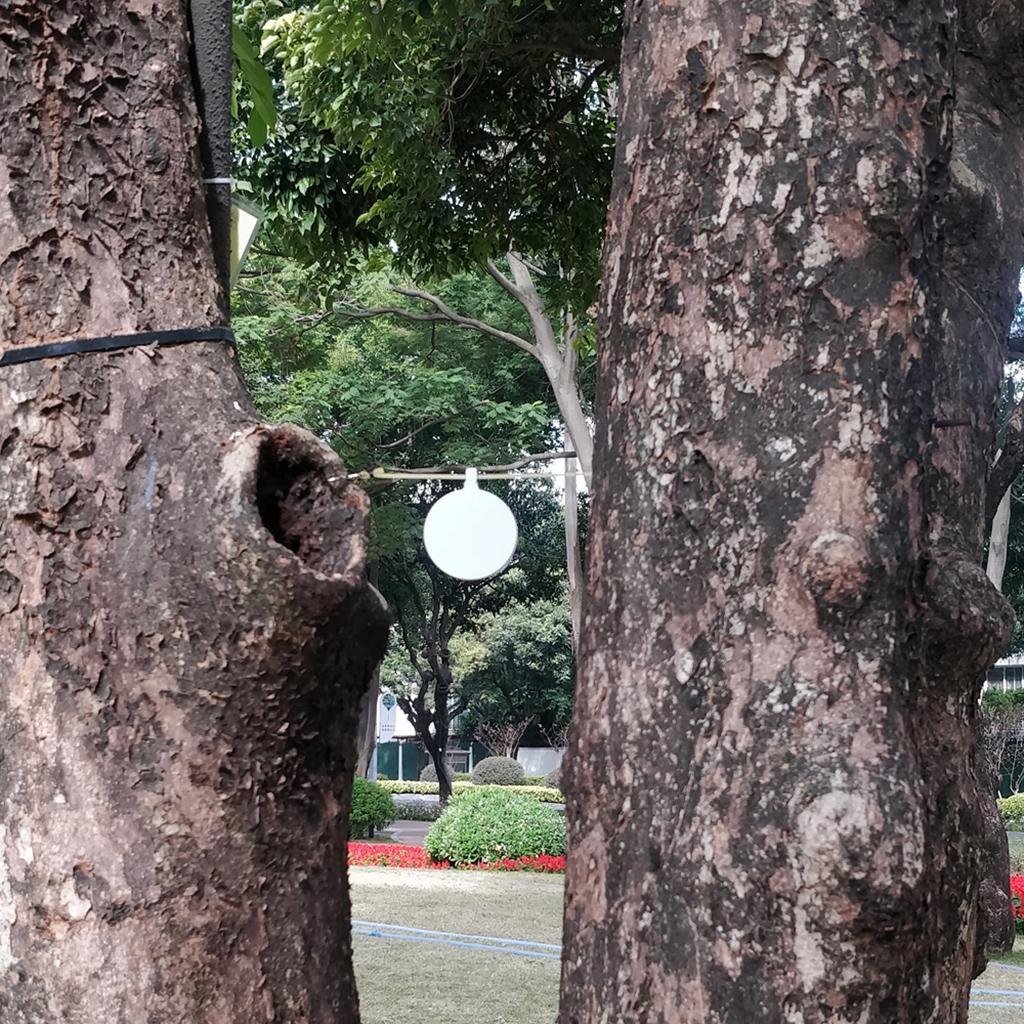 4Pcs Target ing Trainer Accessories