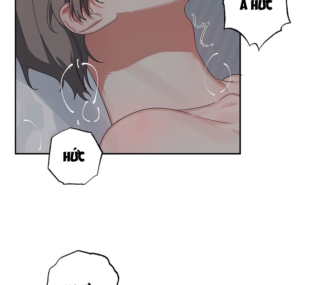 sự ảnh hưởng của tội lỗi chapter 0 78