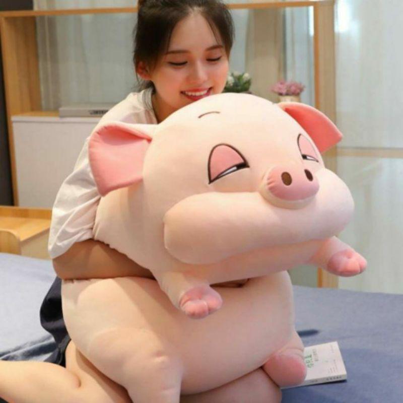 Gấu bông_ heo bông béo ú kèm chăn siêu đáng yêu cute giá rẻ