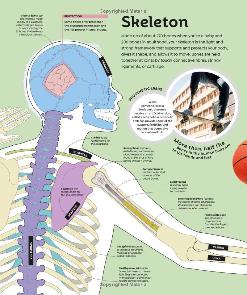 Sách ngoại văn: How Everything Works - From Brain Cells To Black Holes