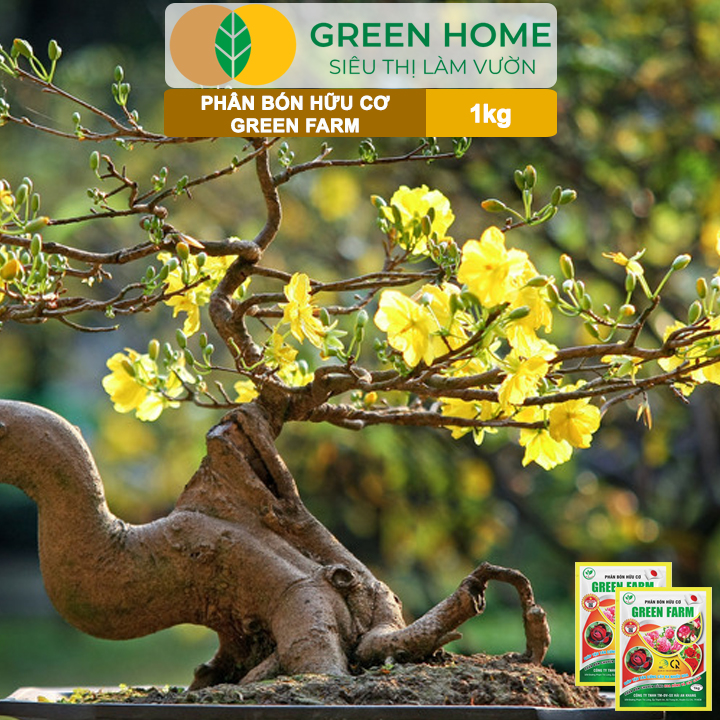 Phân Bón Hữu Cơ Green Farm, GreenHome, Gói 1kg, Chuyên Dùng Cho Cây Cảnh, Hoa Hồng