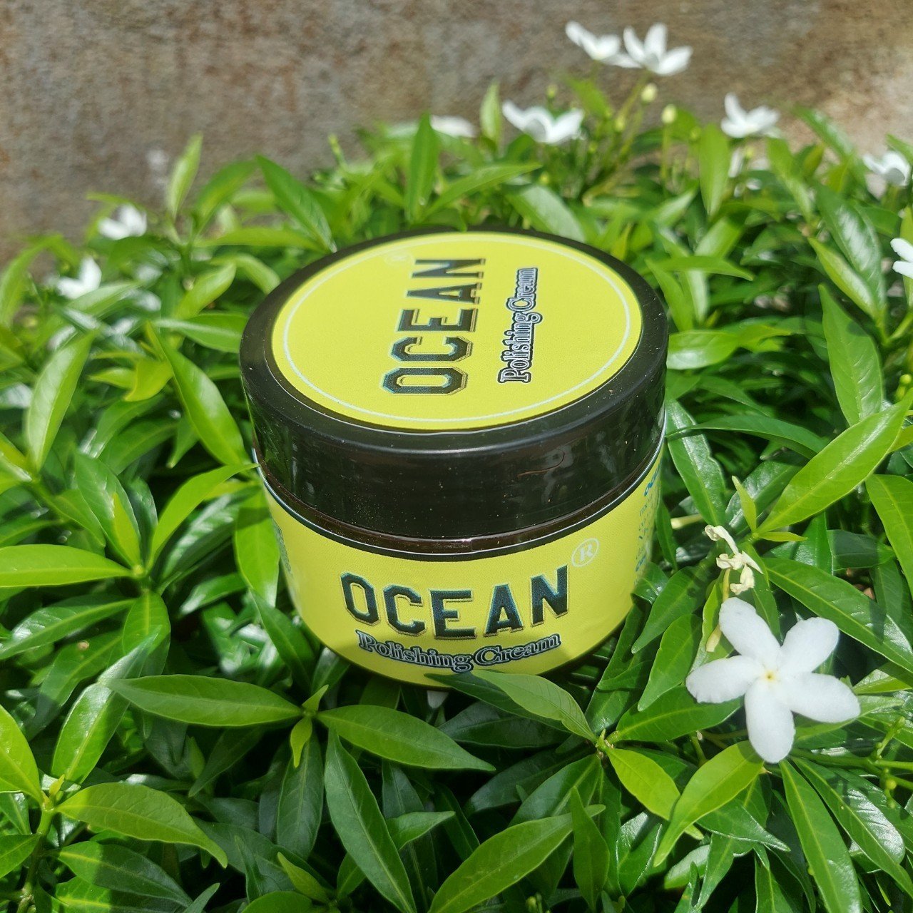 Kem Đánh Bóng Làm Mờ Vết Trầy Xước Ocean 100gram