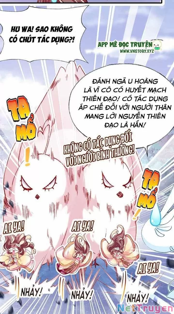 lại bị bệnh chiều chuộng quấn lấy chapter 13 8