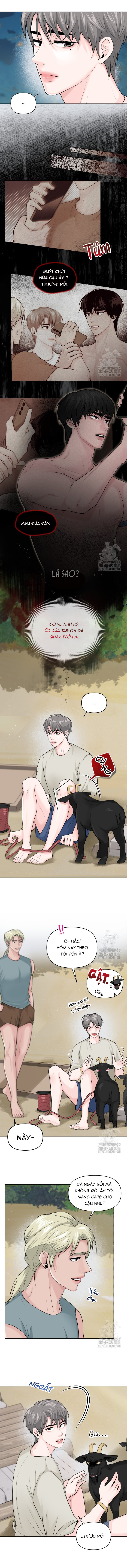 bí mật trên hòn đảo ireland chapter 11 3