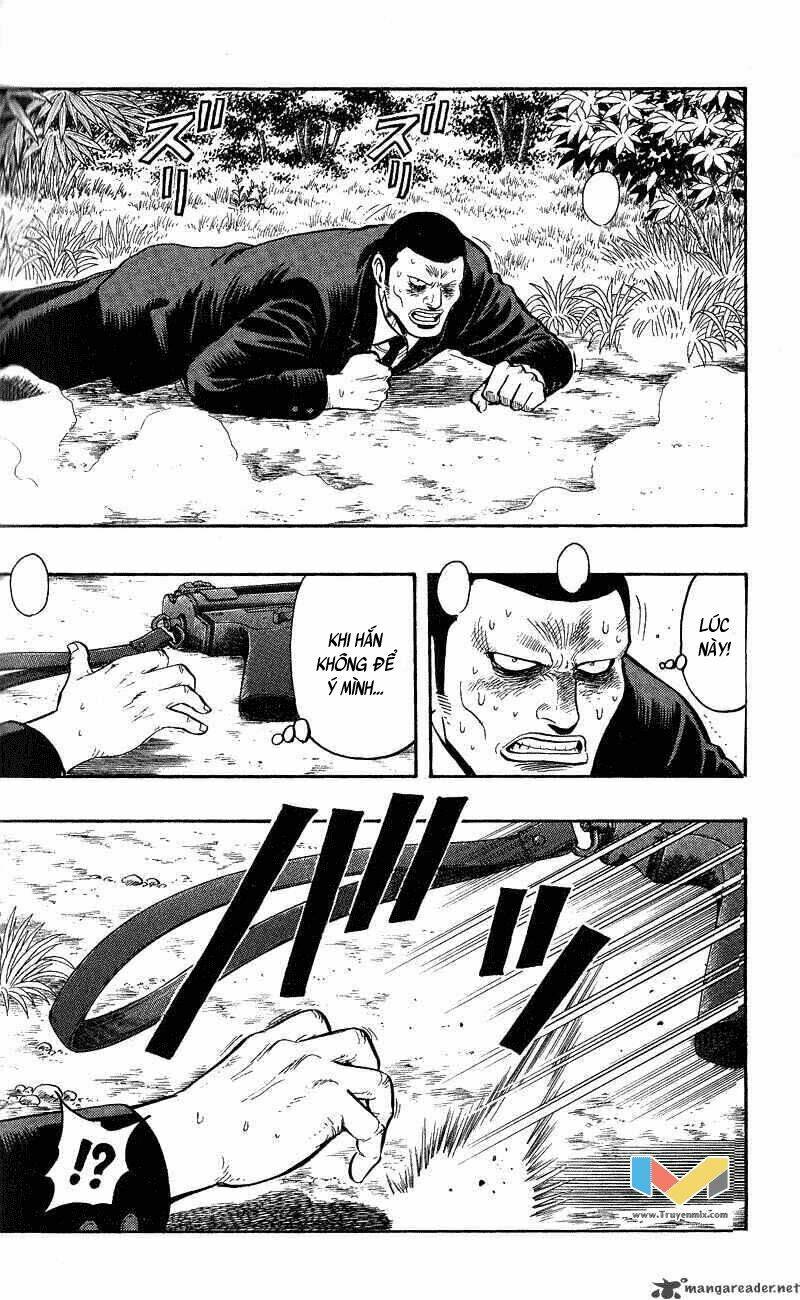 animal sense chapter 13 8