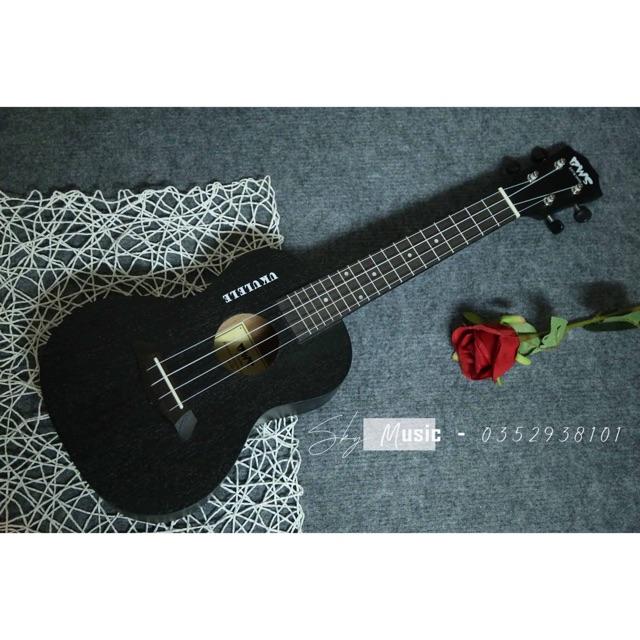 Ukulele concert 23 inch