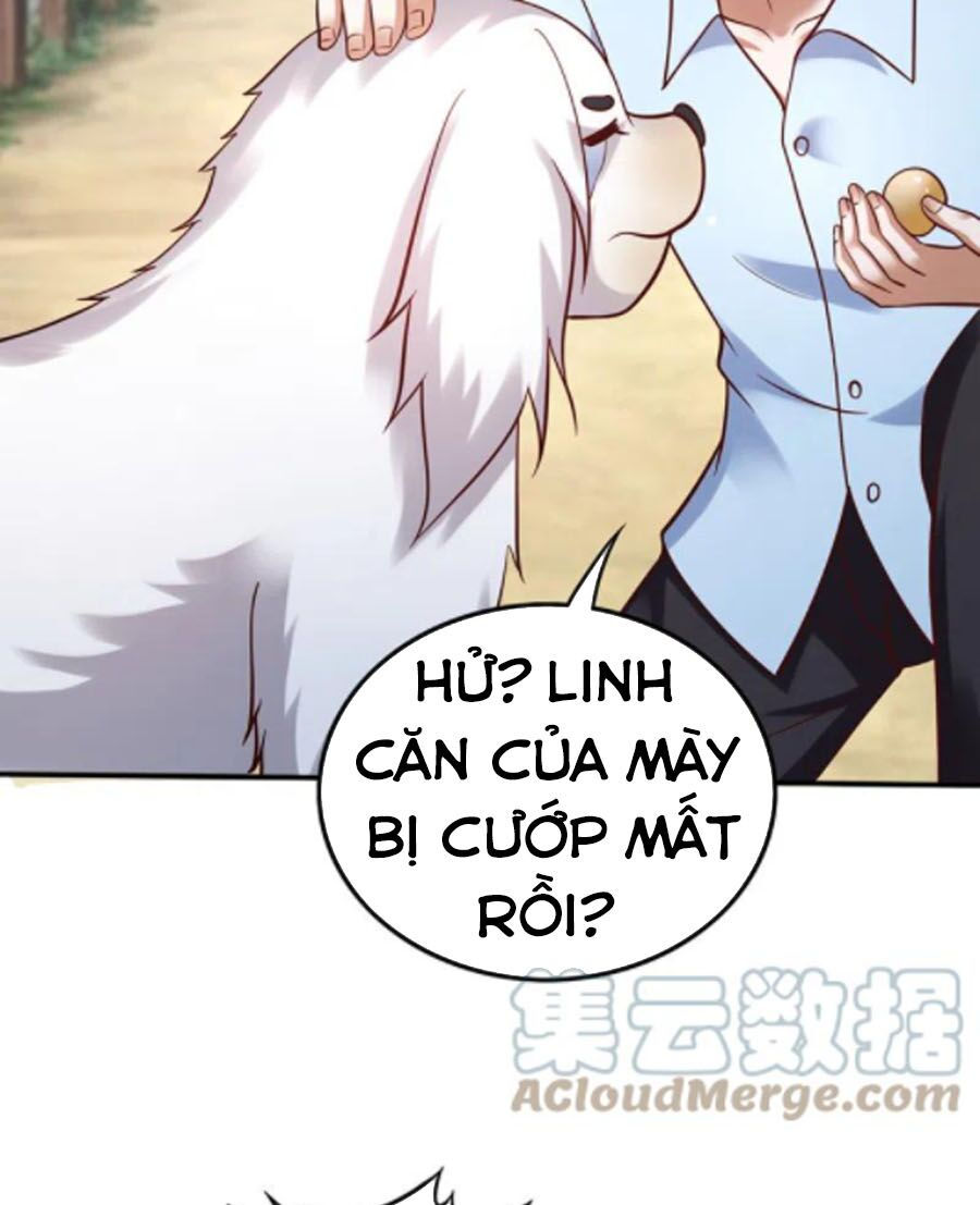 tối cường thần y tại đô thị chapter 244 12