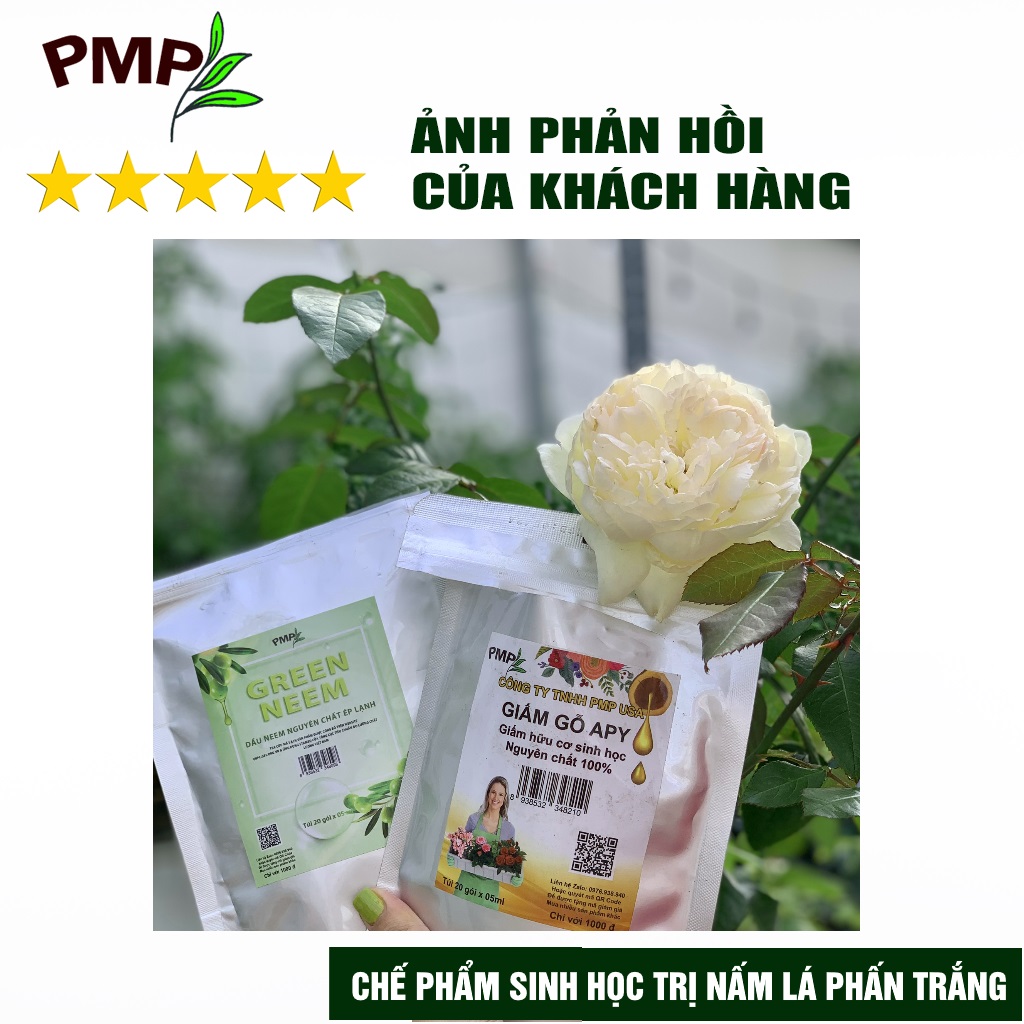 Combo 2 Túi Giấm Gỗ Sinh Học APY PMP Kháng Đốm Lá, Đốm Đen, Vàng Lá, Phấn Trắng Cho Hoa Hồng, Rau Sạch, Lan, Cây Cảnh