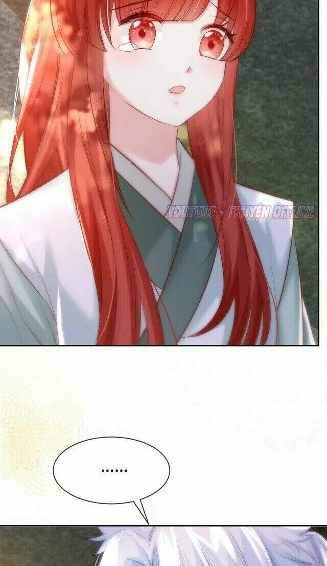 hắc hóa nam chính trực tuyến nuôi thỏ chapter 29 13