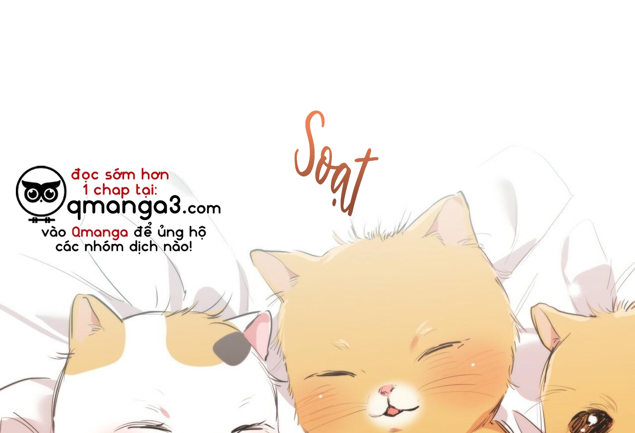 đàn thỏ của habibi chapter 32 3