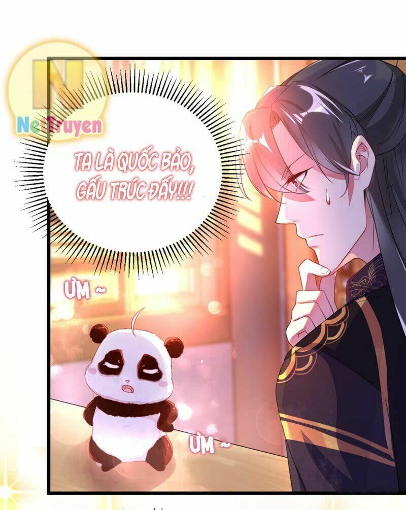 thiên thần gấu trúc muốn được ôm chapter 11 14