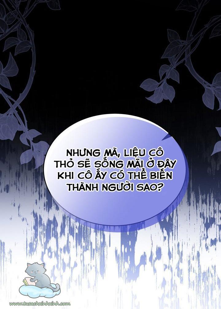 quan hệ cộng sinh giữa báo đen và thỏ trắng chapter 51 42