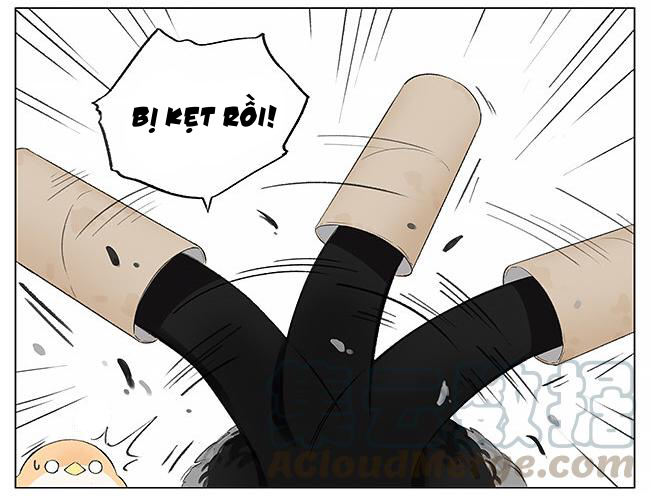 sẻ chiếu mới và nhạn phong sương chapter 3 6