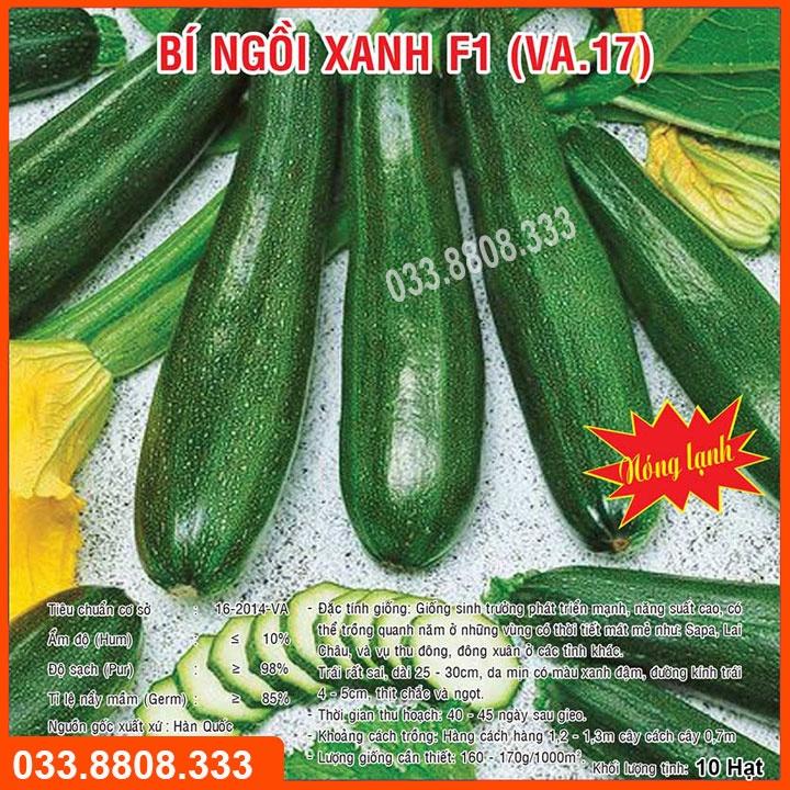 HẠT GIỐNG BÍ NGỒI XANH 10 HẠT - BÍ TO ĐẸP DỄ TRỒNG