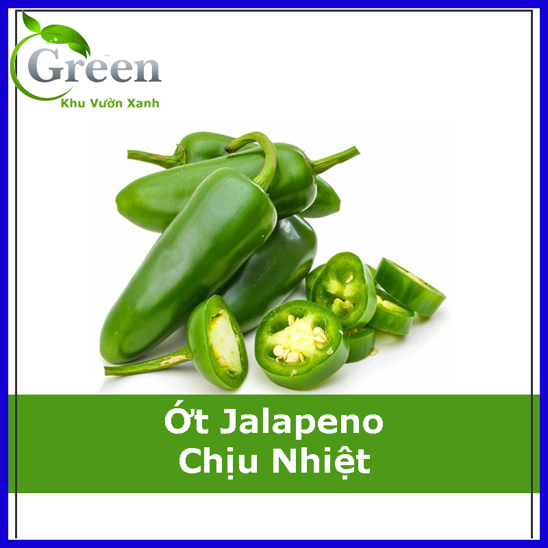 Hạt Giống Ớt Jalapeno Chịu Nhiệt Sai Trái (20H)