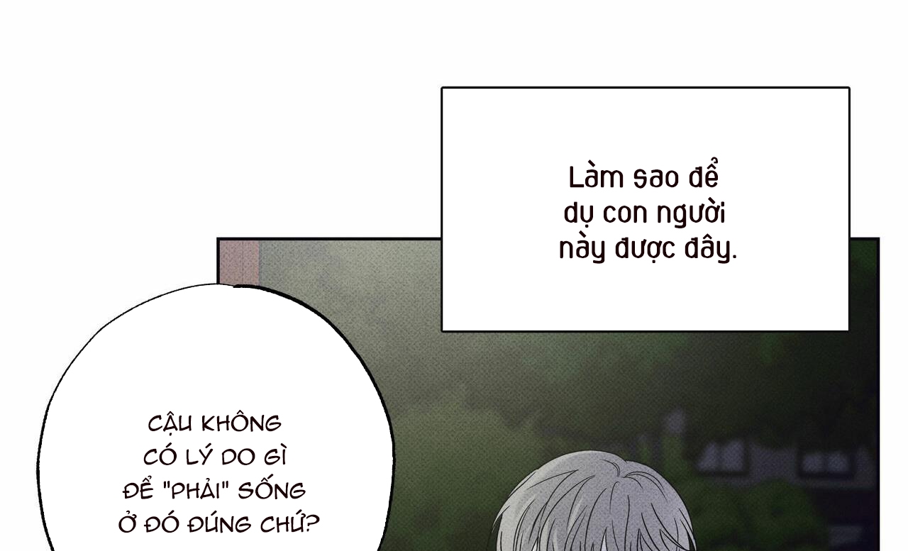 chàng giao pizza và gold palace chapter 22 53