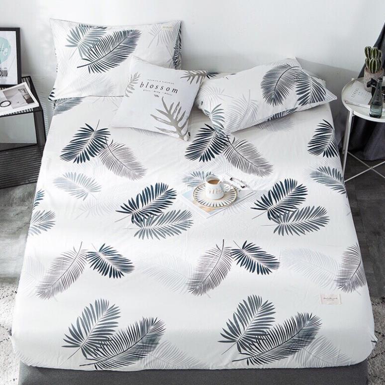 Bộ ga gối cotton living - mẫu Lá Cọ Trắng