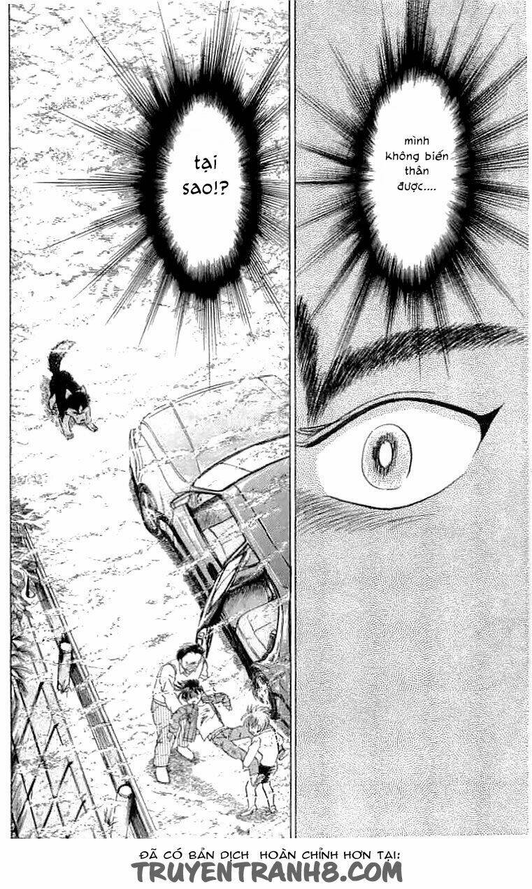 wild half chapter 21 22