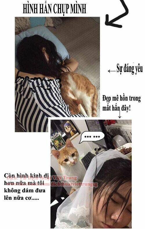 đại thánh và tiểu yêu chapter 33 8