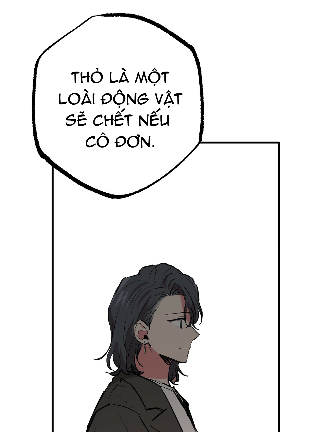 những chú thỏ của hapypy chapter 20 116