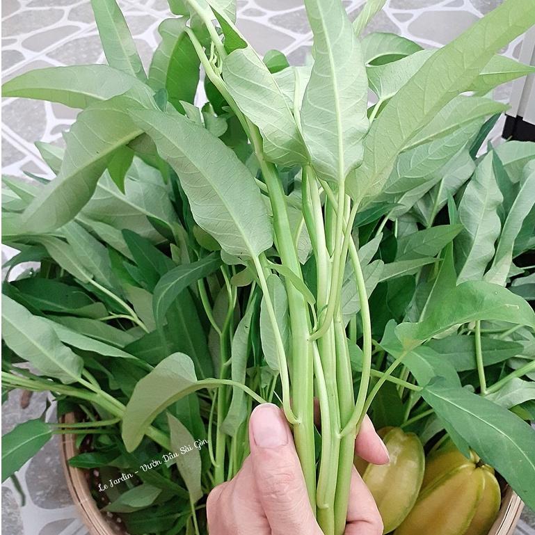 Đất sạch trồng cây Namix túi 5dm3