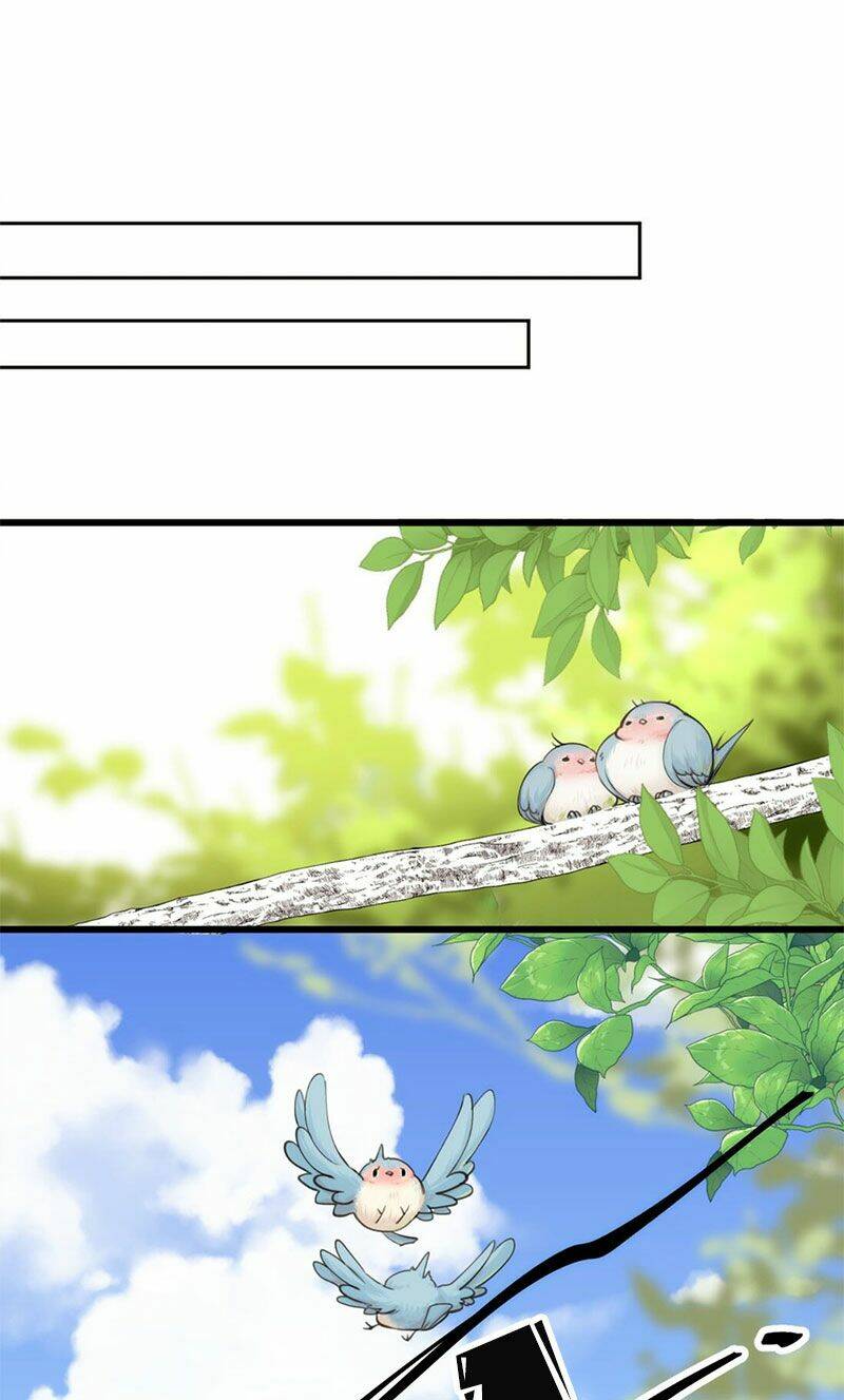 dù là sói cô độc cũng có tình yêu của sẻ nhỏ chapter 30.5 1