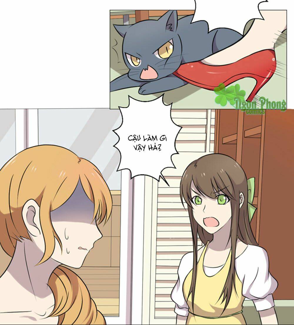 hai chú mèo totem chapter 36 15
