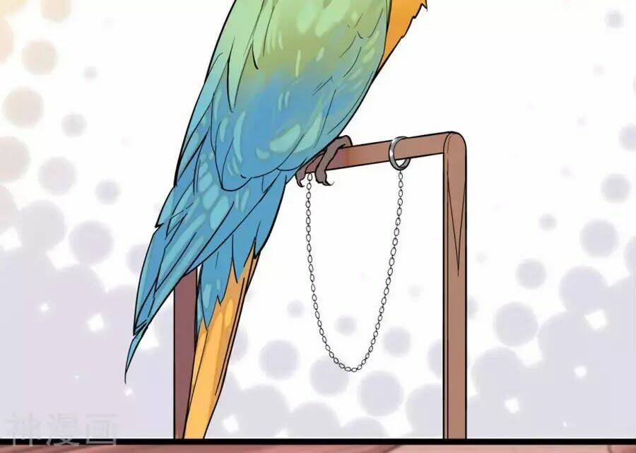 huyết túc khế ứớc chapter 5 18