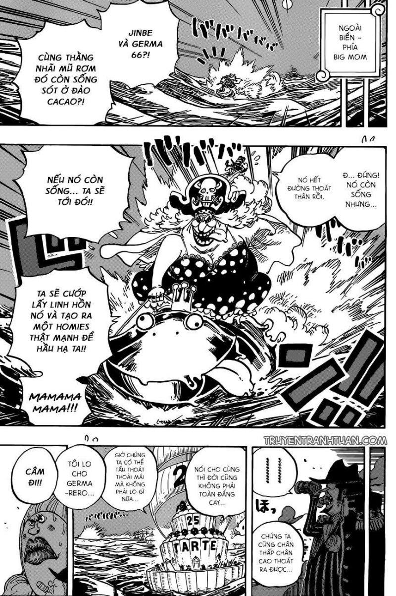 đảo hải tặc - one piece chapter 901 14