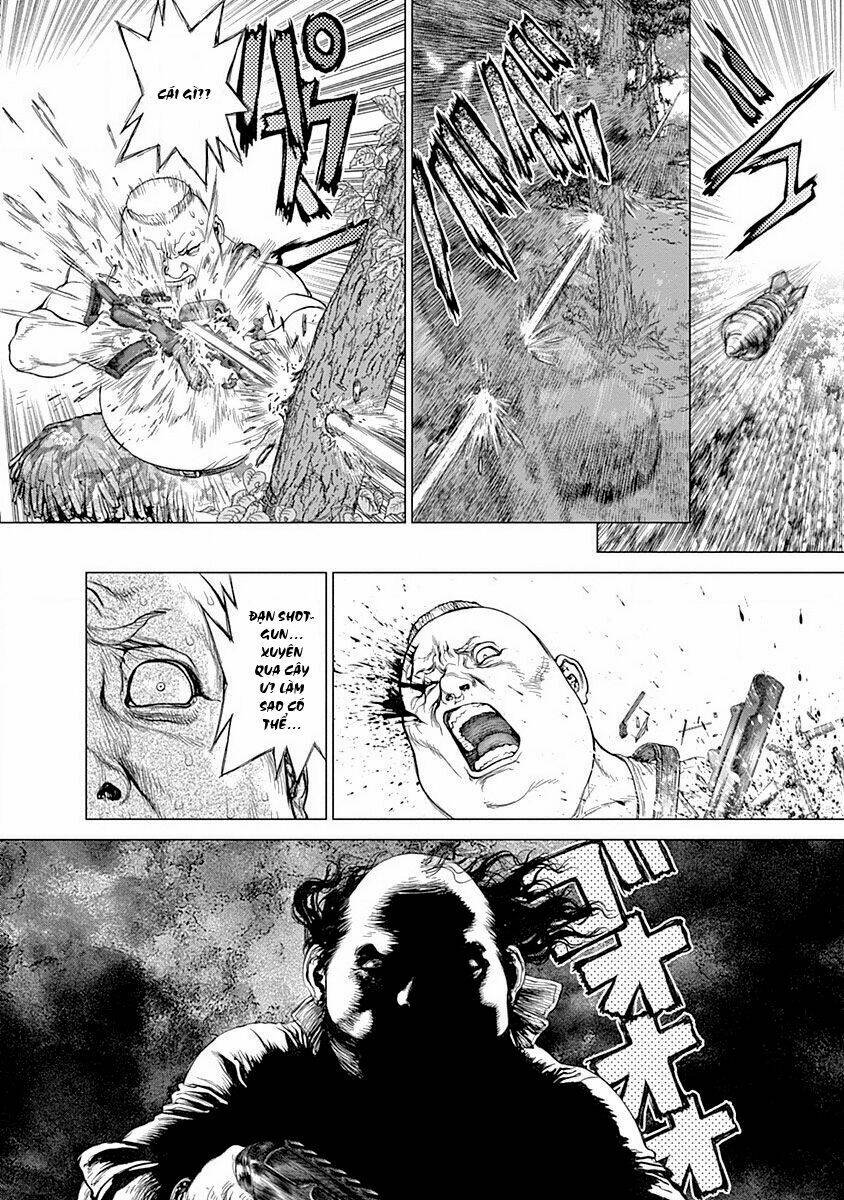 wallman chapter 22 13