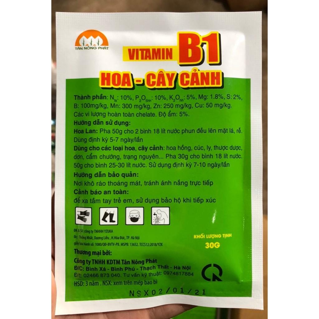 Vitamin B1 Hoa Hồng, Lan - Cây cảnh, kích thích ra hoa, dưỡng hoa lâu tàn (30g)