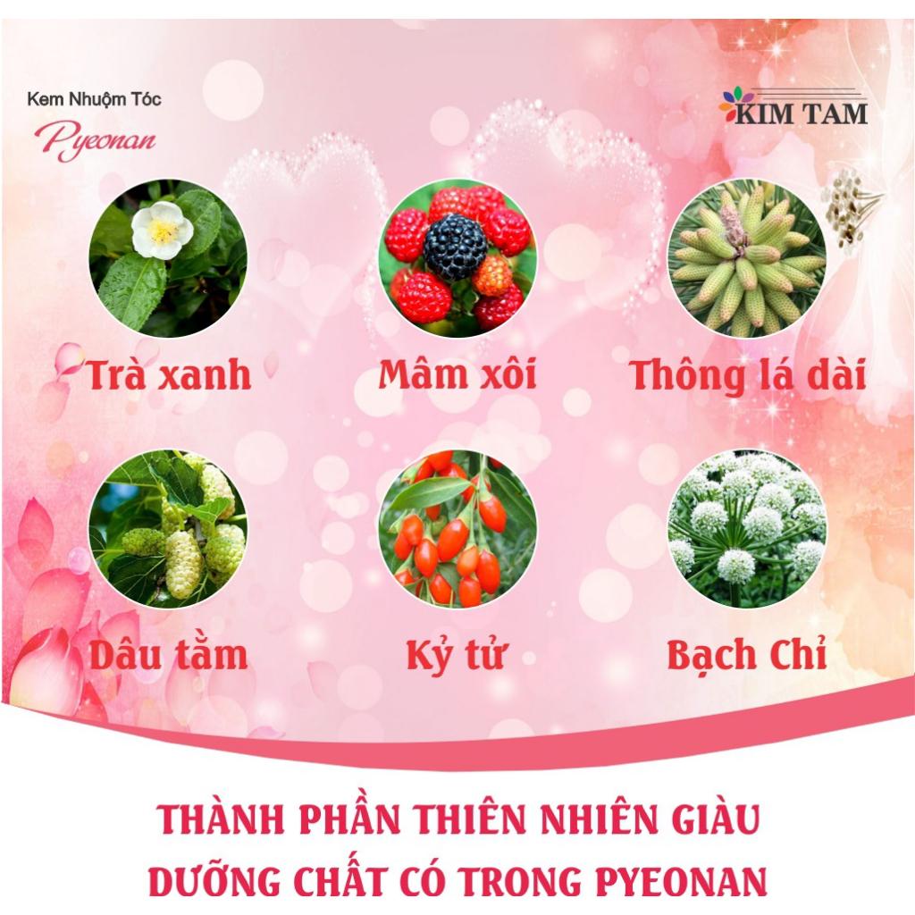 Kem nhuộm tóc Pyeonan Hàn Quốc 2 tuýp 120g