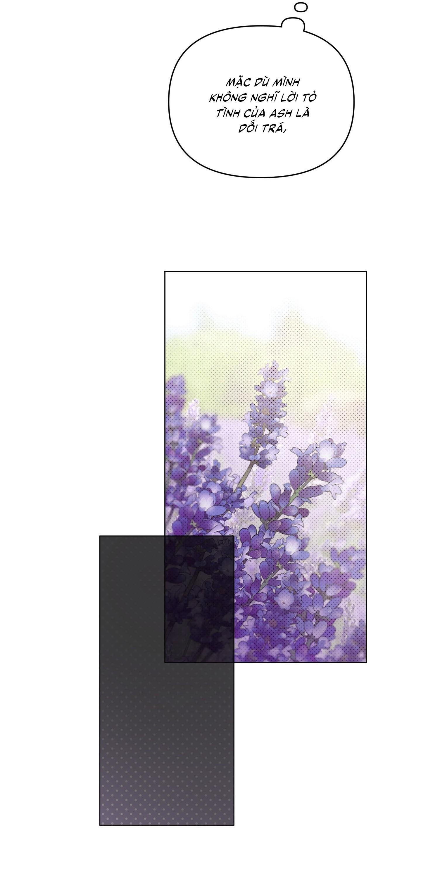 định tên mối quan hệ chapter 61 19