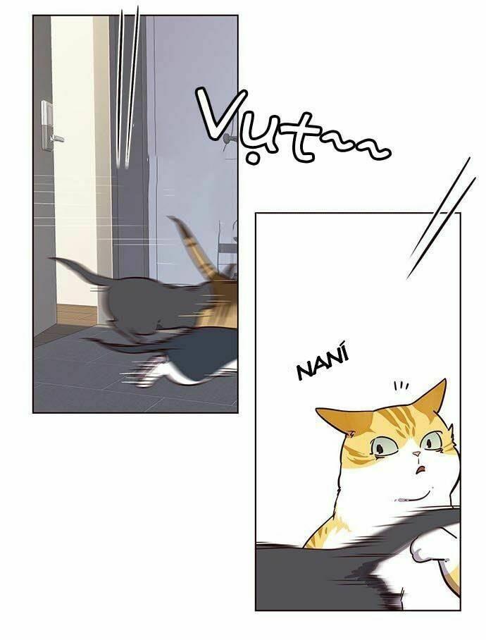 biến thân thành mèo chapter 9 33