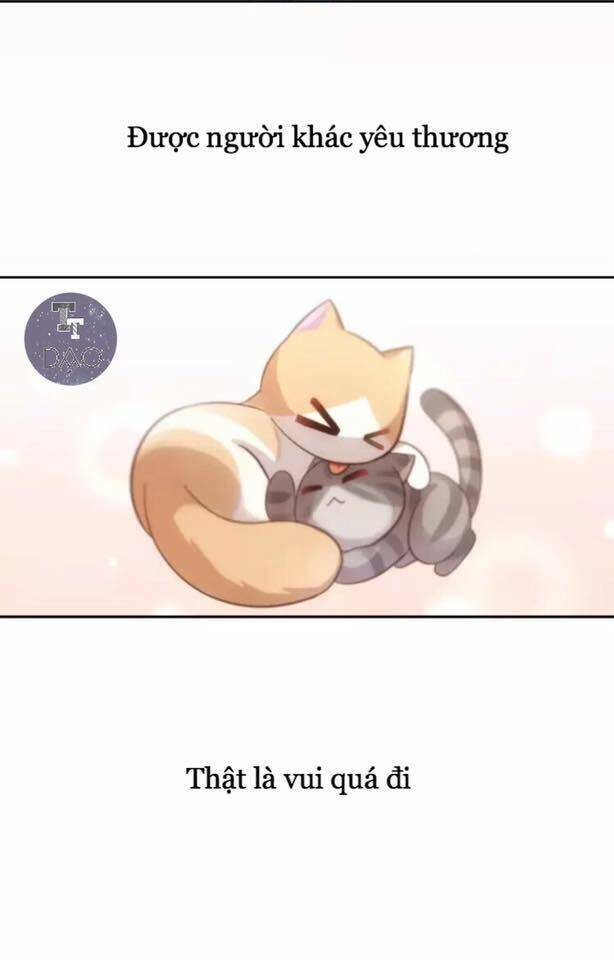 dưới móng vuốt mèo chapter 19 44