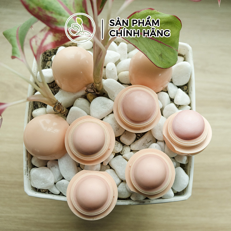 Dưỡng Môi Lipbalm Mini Garden PV989