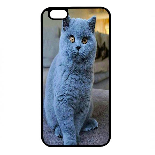 Ốp lưng cho điện thoại Iphone 6 Plus CB 20 - Hàng chính hãng