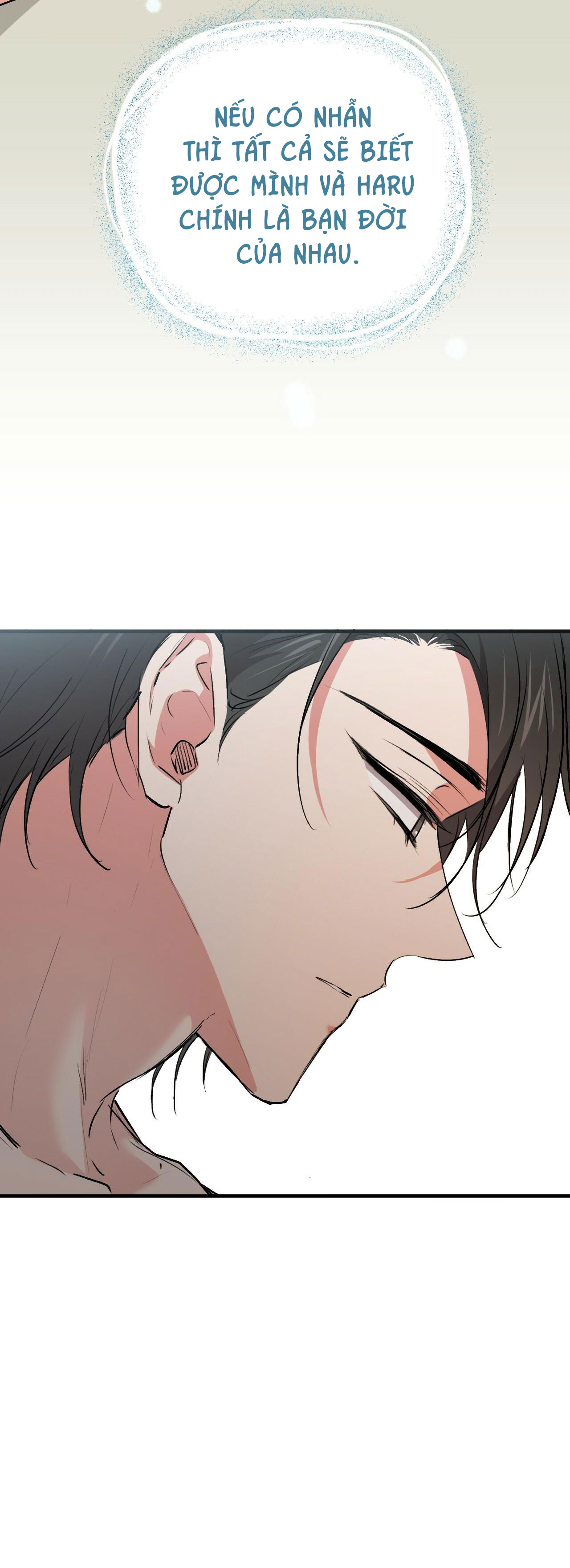 những chú thỏ của hapypy chapter 41 51