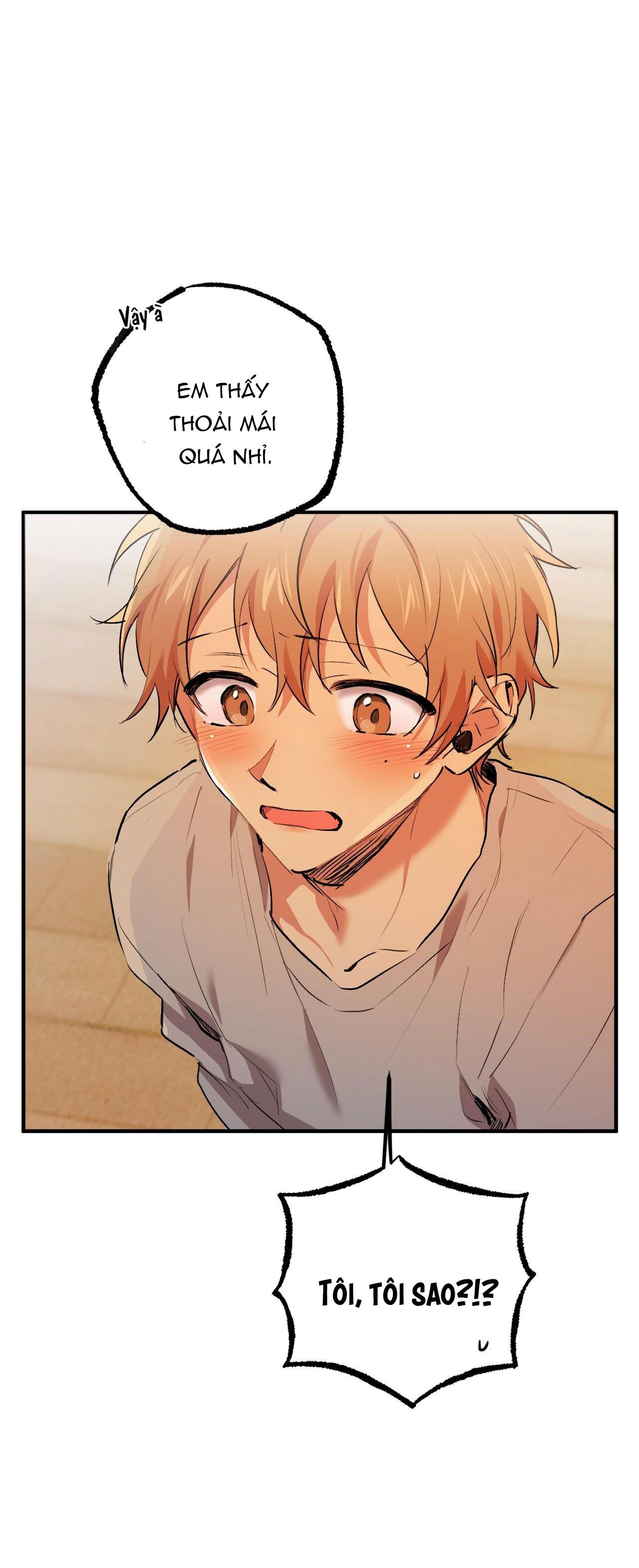 những chú thỏ của hapypy chapter 33 26