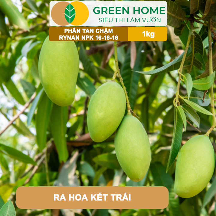Phân Tan Chậm GreenHome, Rynan NPK 16-16-16, Túi 1kg, Dùng Cho Cây Có Múi Khỏe Bền Tán Xanh Rễ Mạnh