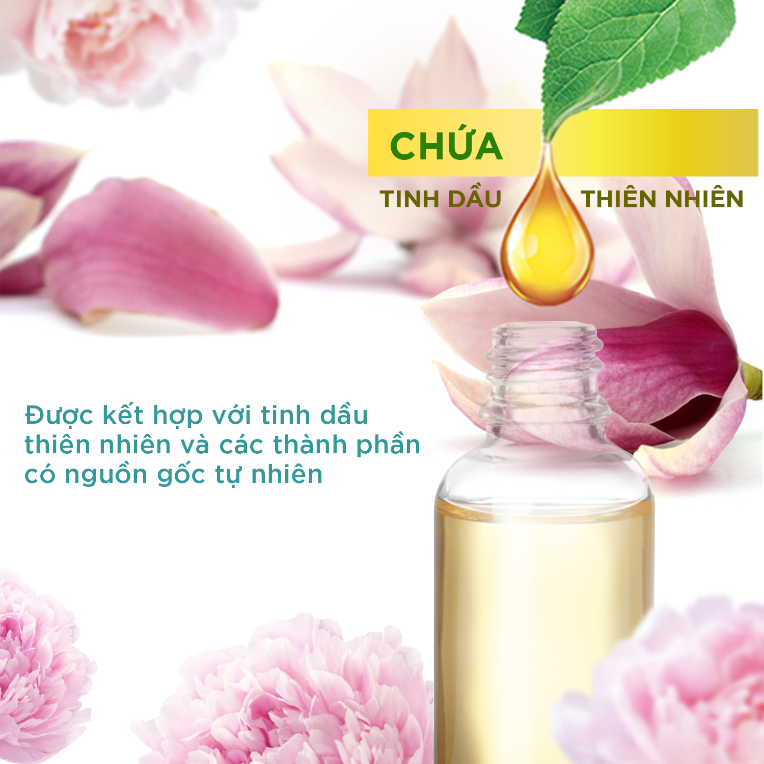 Bộ máy xịt phòng tự động Air Wick magnolia + lõi cherry blossom, đem lại hương thơm tinh tế ngát hương 24/7