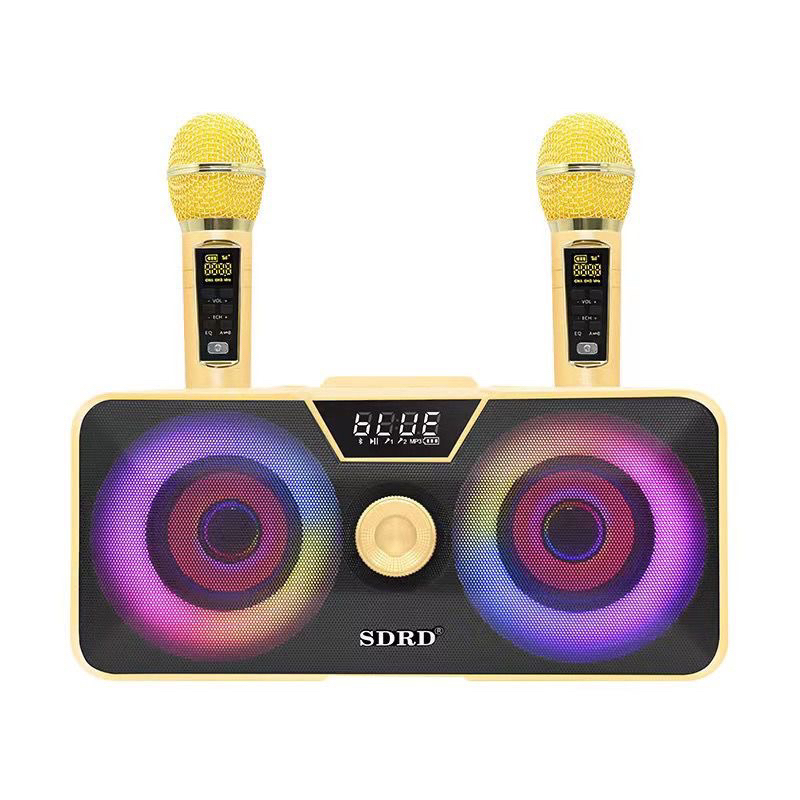 Loa Karaoke Bluetooth SDRD SD-317 Đầy Mạnh Mẽ, Âm Thanh Chất Lượng, Đèn Led Nhiều Màu Sắc Tặng Kèm 2 Micro